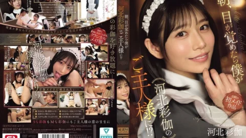 SONE-817 When I woke up in the morning, I found myself as Kawakita Ayaka’s master!?