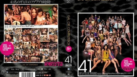 IDBD-204 GAL CIR COMPLETE BOX – Aya Fujii