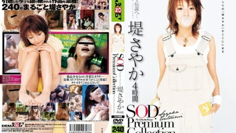 SDMT-612 Sayaka Tsutsumi 4 Hours SOD Premium Collection